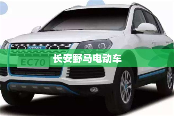 大众polo新车指导价多少钱(polo 大众新车多少钱)
