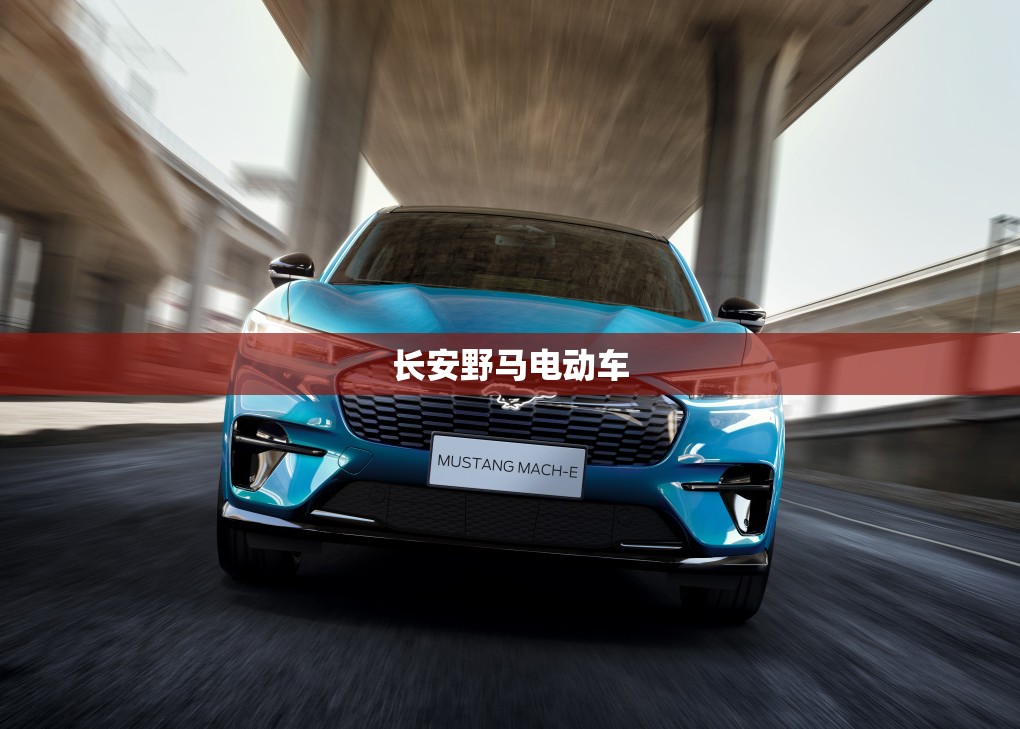 【长安野马电动车,野马新能源】