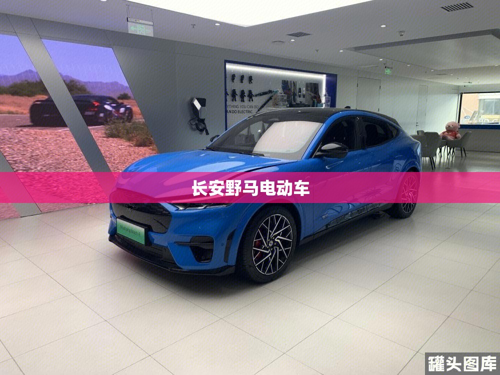 【长安野马电动车,野马新能源】