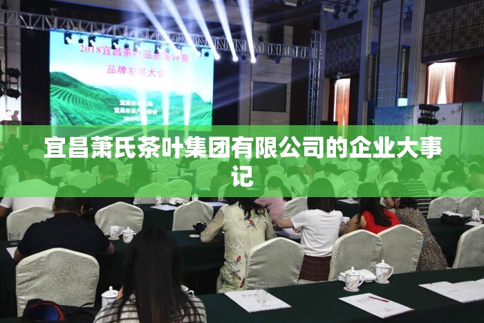 大众polo新车指导价多少钱(polo 大众新车多少钱)