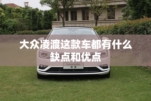 大众凌渡这款车都有什么缺点和优点