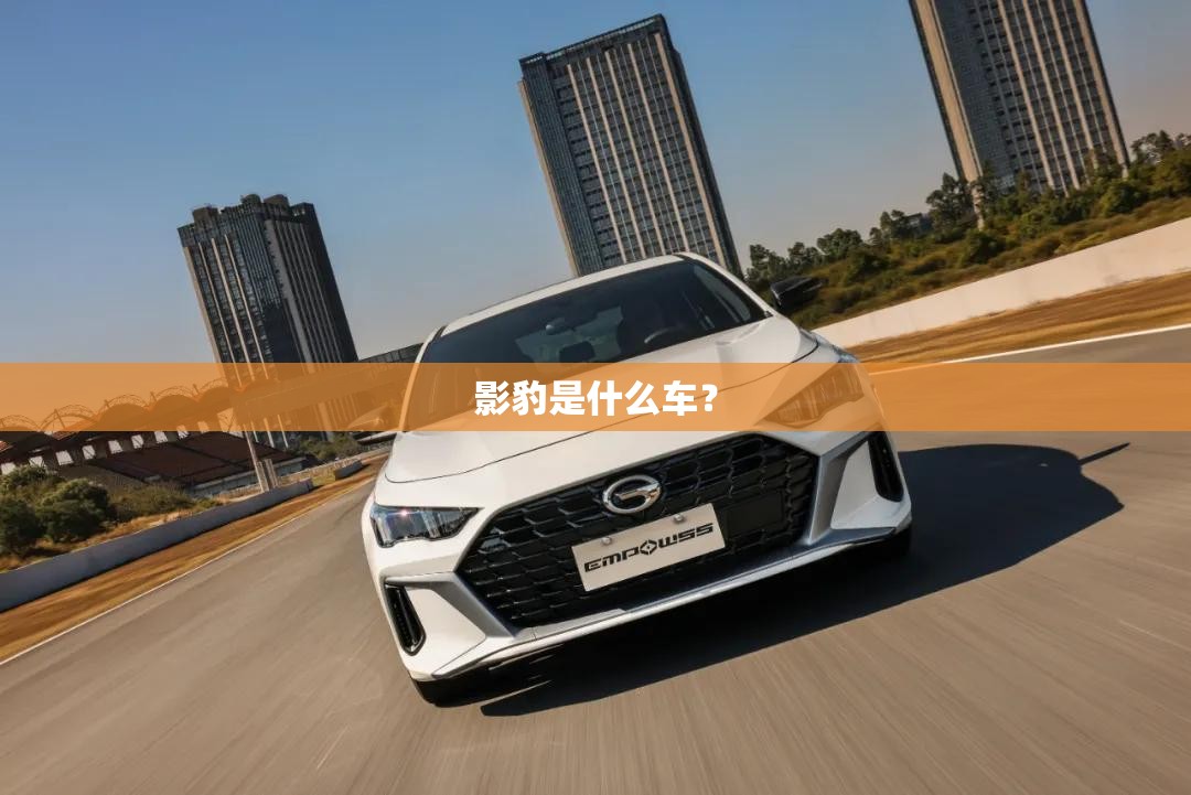 影豹是什么车？