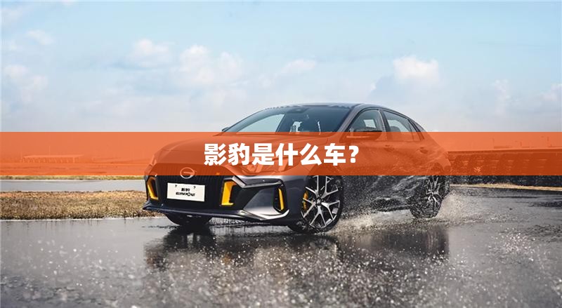 影豹是什么车？