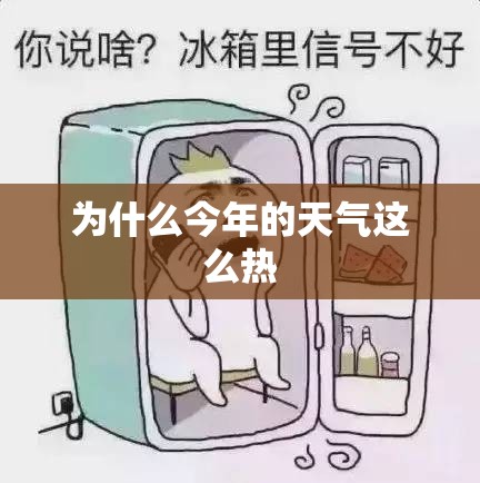 【粤e是哪个地方,粤e是哪里的车牌是什么样子的】
