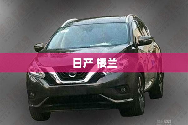东风日产有6至8万左右的车吗