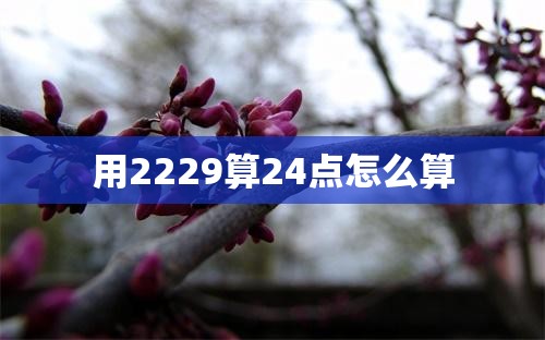 用2229算24点怎么算 用2229算24点怎么算