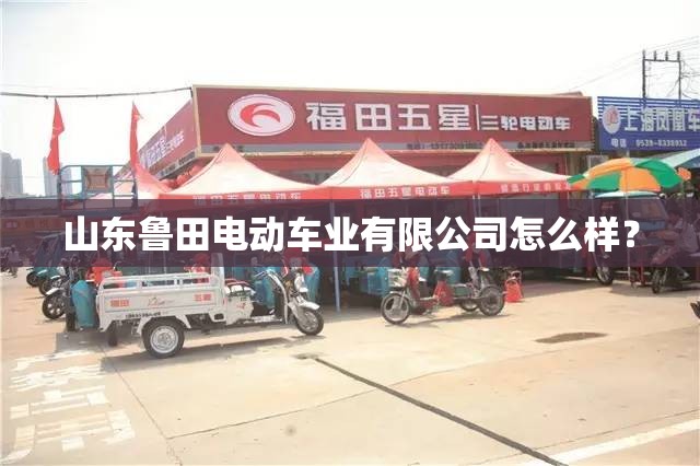 山东鲁田电动车业有限公司怎么样? 山东鲁田电动车业有限公司怎么样?