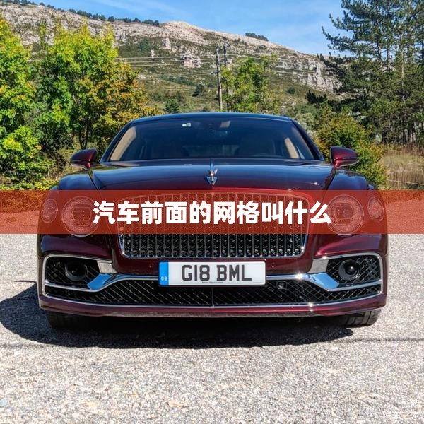 汽车前面的网格叫什么 汽车前面的网格叫什么