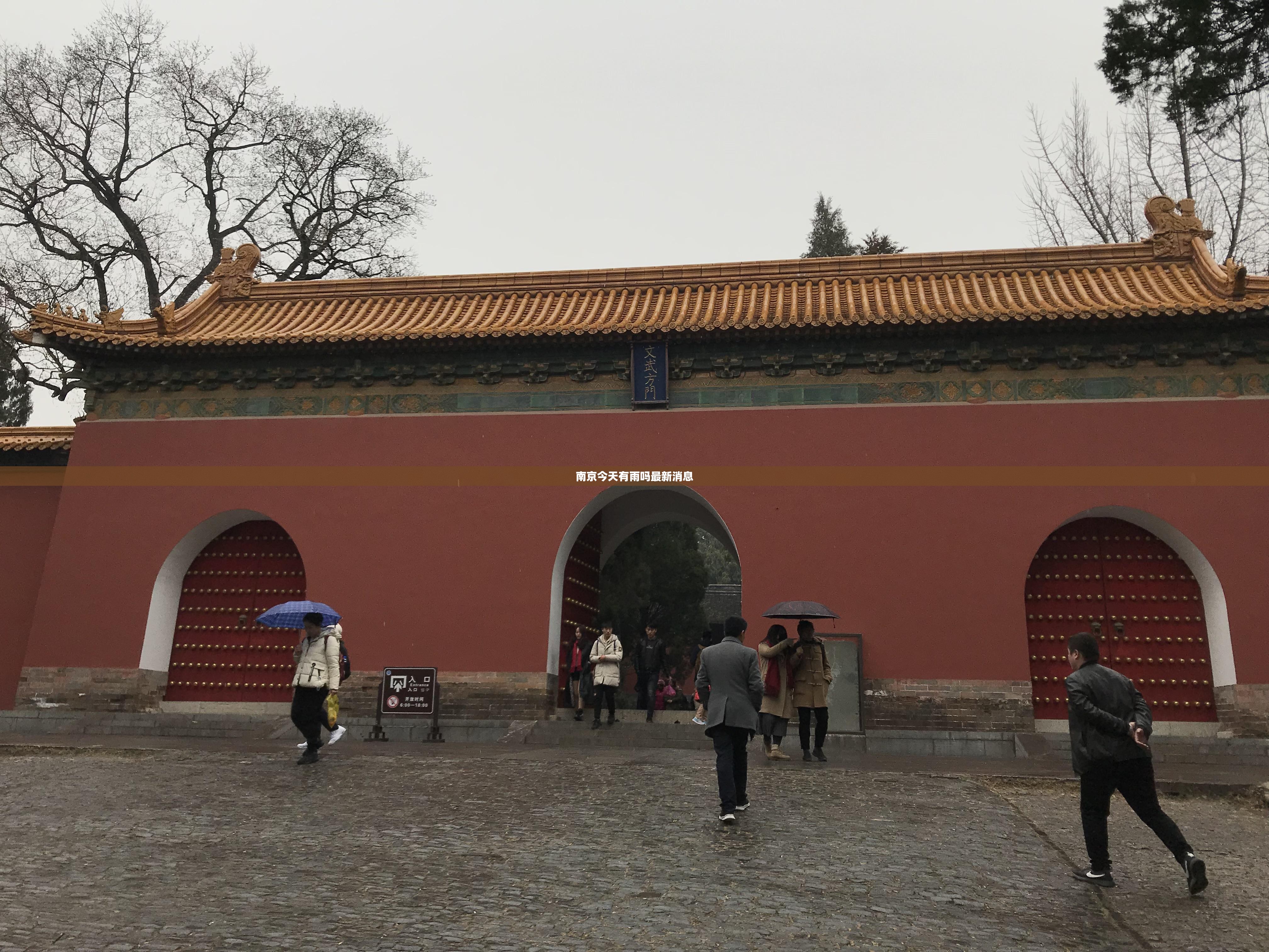 股价在8-9元在深圳上市的股票_1
