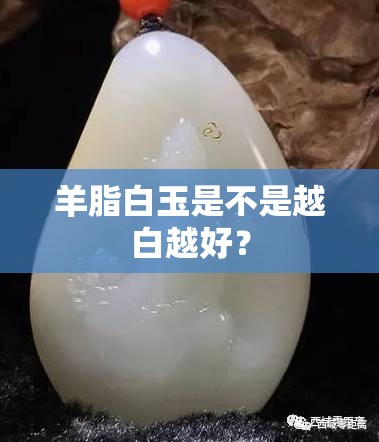 南京今天有雨吗最新消息(南京今天有没有雨?)