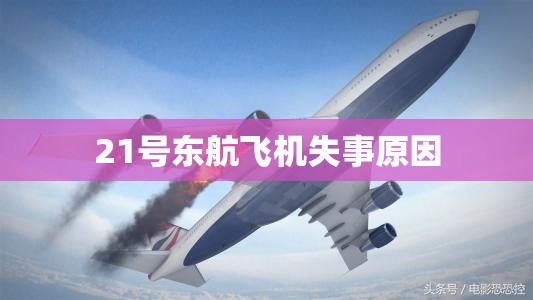 21号东航飞机失事原因 21号东航飞机失事原因