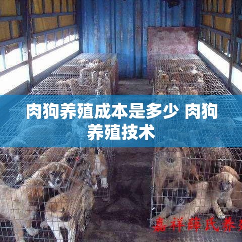 肉狗养殖成本是多少 肉狗养殖技术