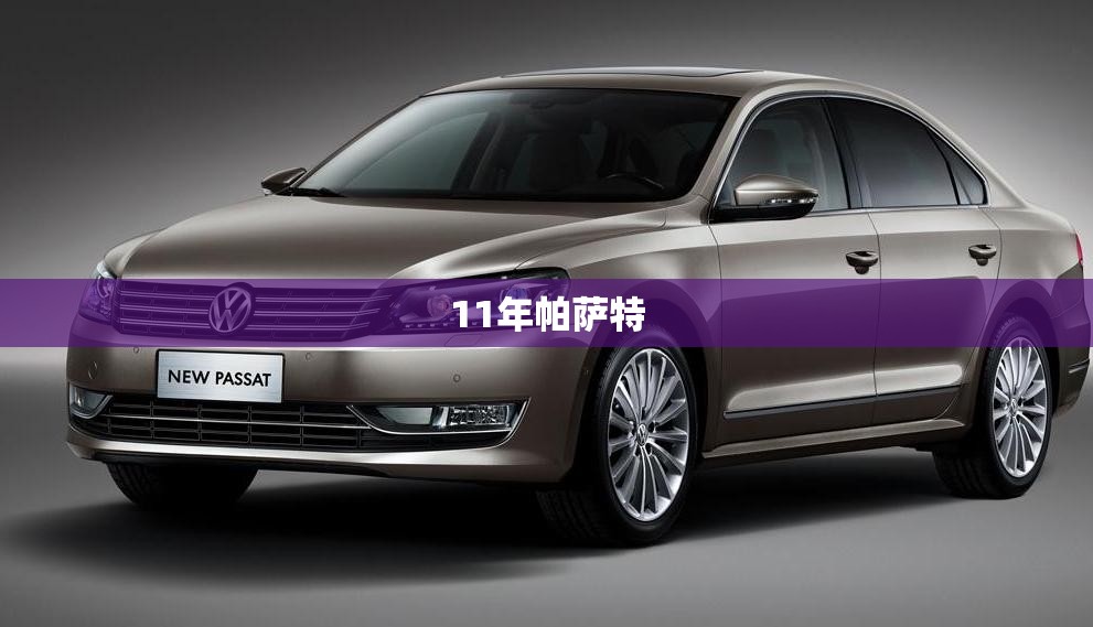 【11年帕萨特,11年帕萨特油箱多大】