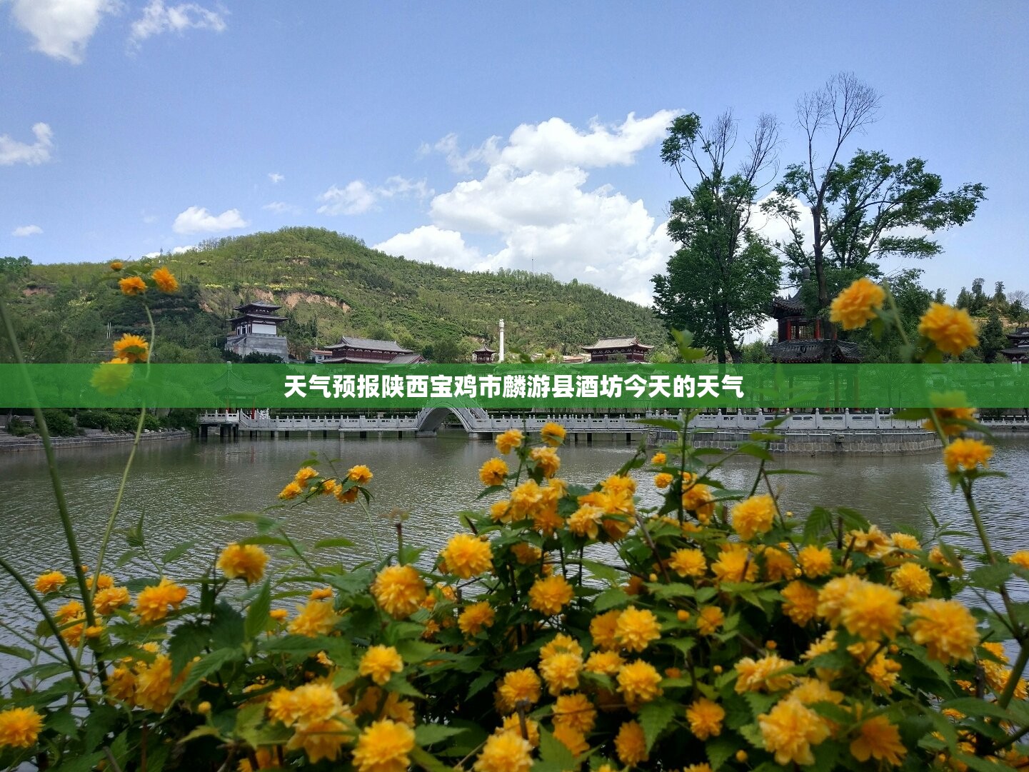 单灶煤气灶前十名牌(单燃气灶哪个牌子的好)