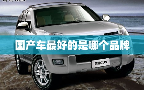 【国产车比较好的是哪个品牌,国产车子比较好的是哪一个】 【国产车比较好的是哪个品牌,国产车子比较好的是哪一个】