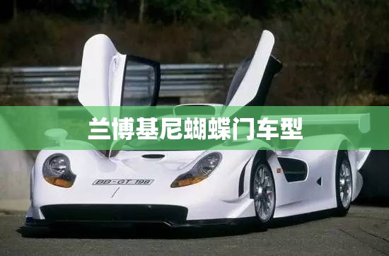 兰博基尼蝴蝶门车型