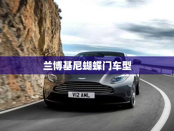兰博基尼蝴蝶门车型