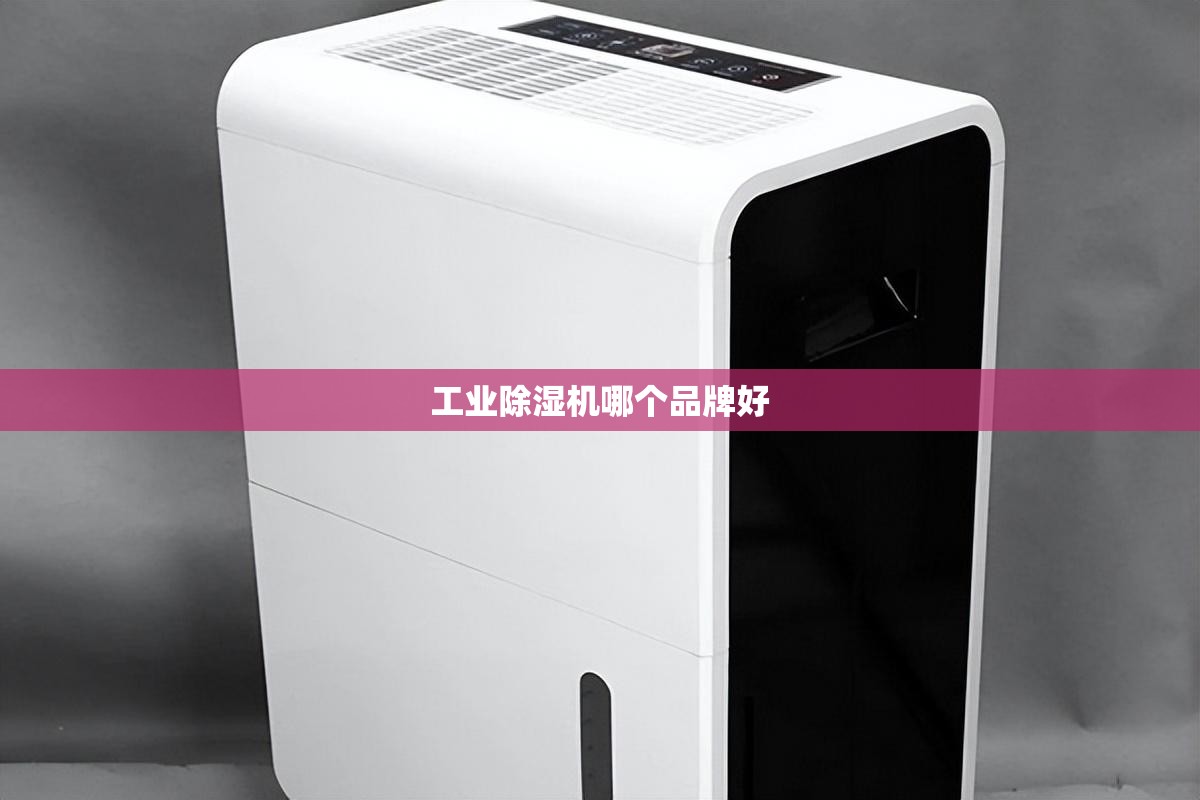 全新宝马5系或将于6月亮相 秋季正式投产