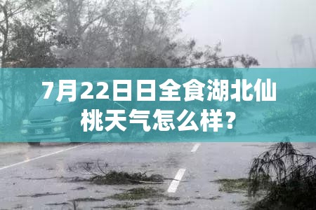广西桂林未来十天天气