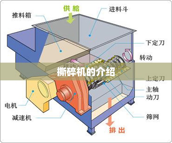 上海莱士为什么跌得厉害