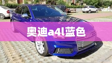 爱丽舍mpv(爱丽舍宫谜案电影)