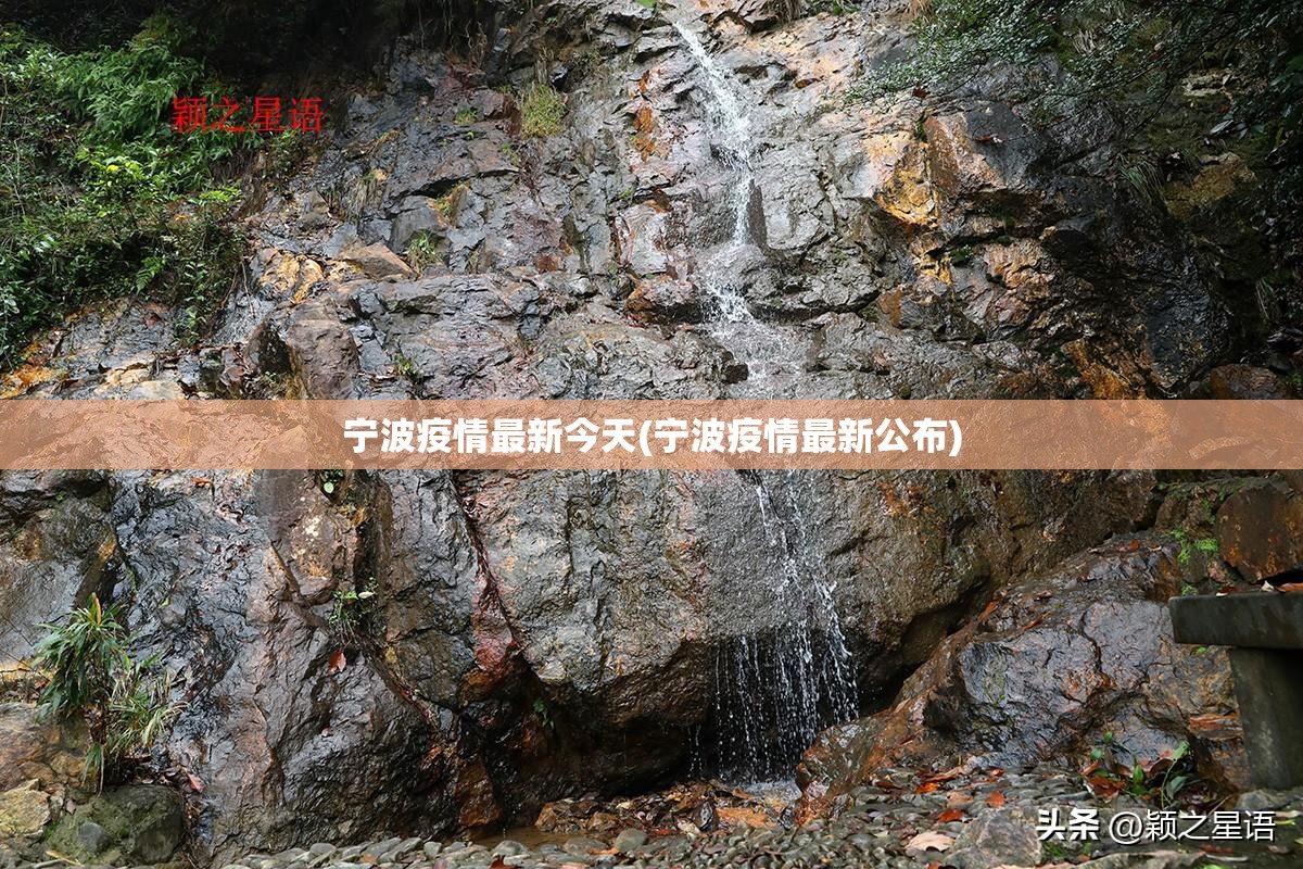 宁波疫情最新今天(宁波疫情最新公布)