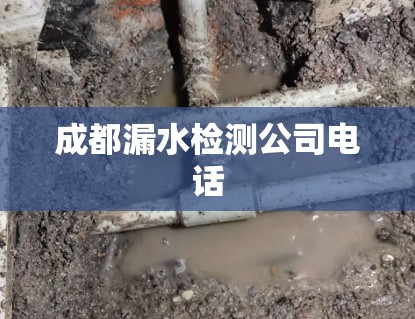 离心泵和螺杆泵各有什么优缺点？