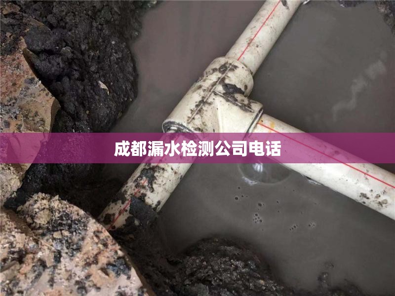 成都漏水检测公司电话