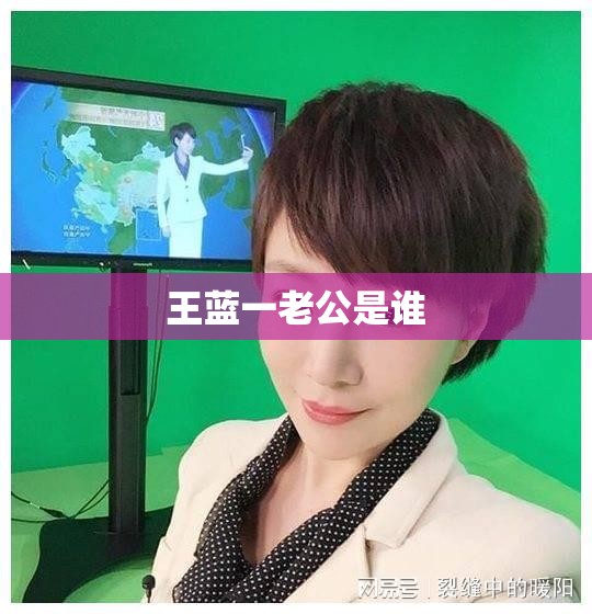 王蓝一老公是谁