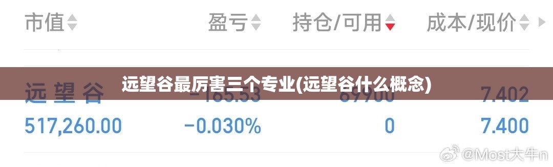 远望谷最厉害三个专业(远望谷什么概念) 远望谷最厉害三个专业(远望谷什么概念)