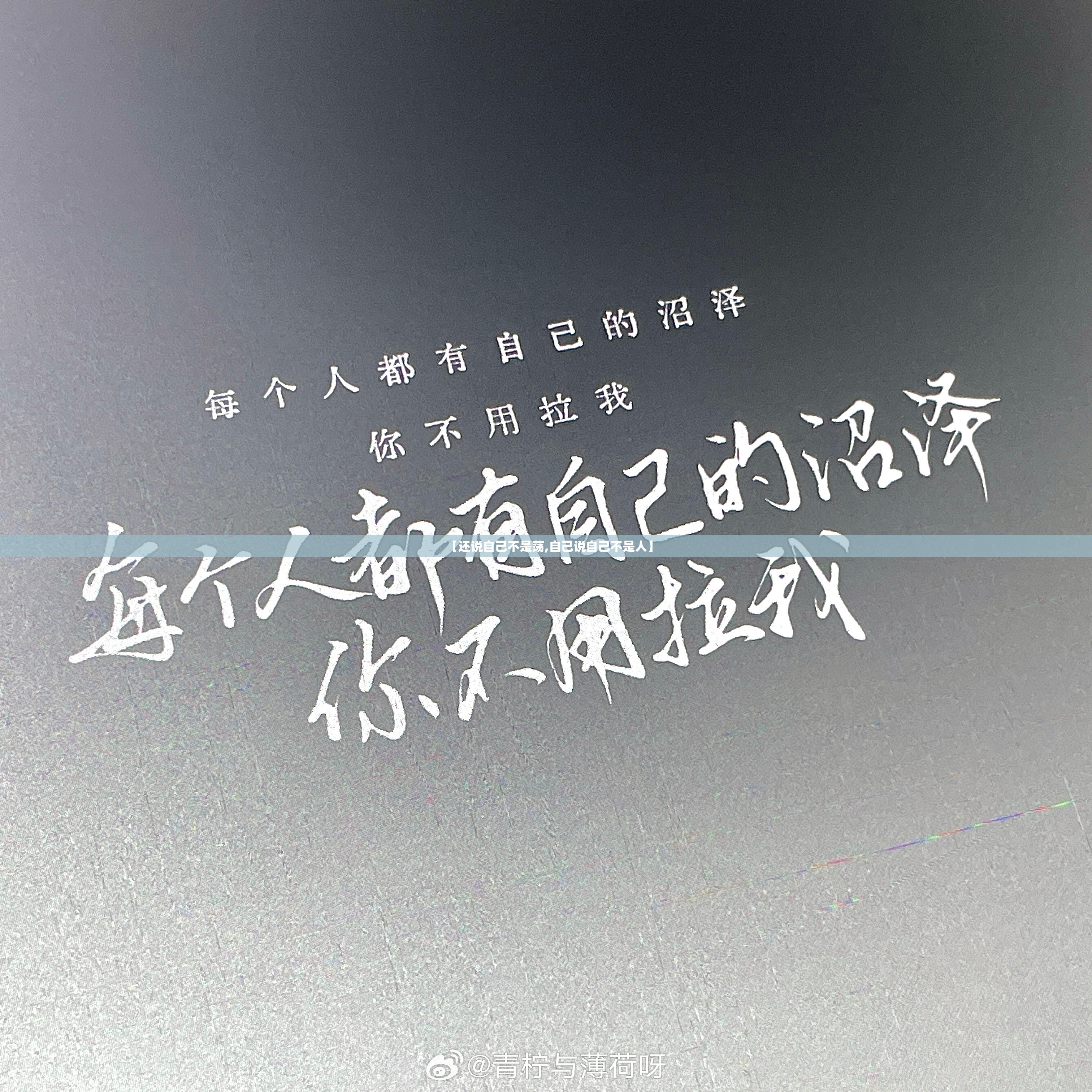 【还说自己不是荡,自己说自己不是人】