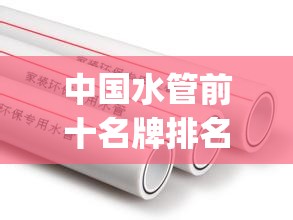 中国水管前十名牌排名榜(中国水管前十名牌排名榜官方)