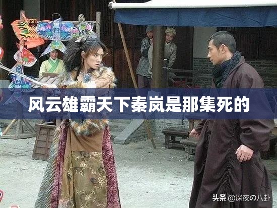 风云雄霸天下秦岚是那集死的 风云雄霸天下秦岚是那集死的