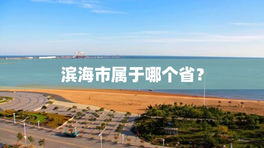 滨海市属于哪个省？