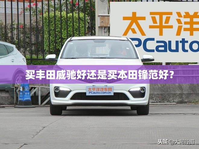 红旗最大的suv车型/红旗最大气的车