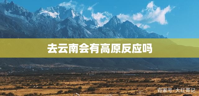 包含bmwx62016的词条/宝马词条