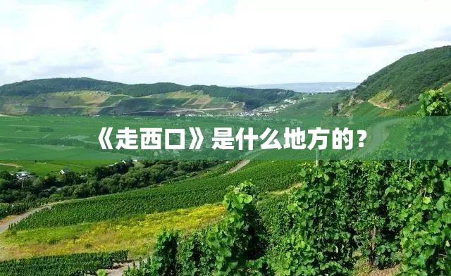 什么木材硬度已经超过了黄铜的硬度？