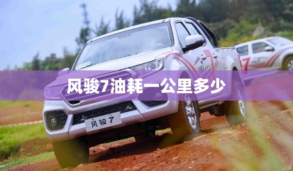 风骏7油耗一公里多少