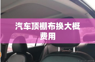 汽车顶棚布换大概费用/汽车顶棚布更换要多少钱