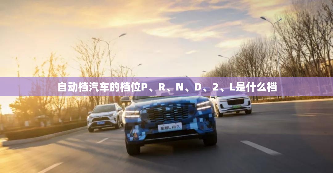 自动档汽车的档位P、R	、N、D、2、L是什么档