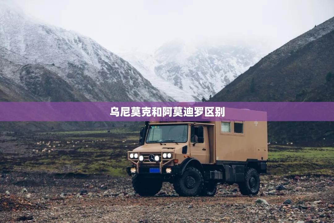 环保PP是什么材质