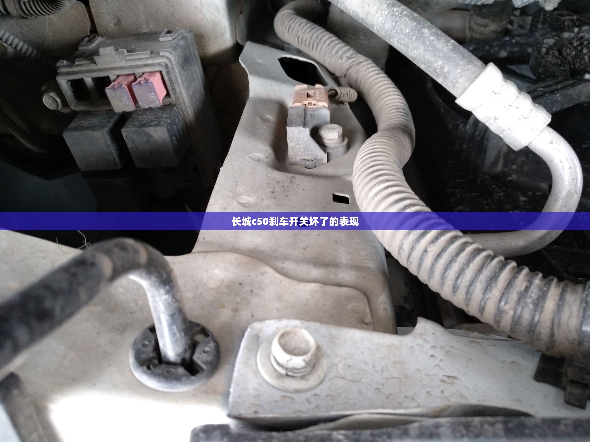 8月台风摩羯对上海有什么影响台风摩羯影响哪些城市