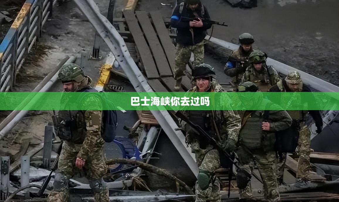 08宝马730li费用多少/宝马7302008款报价及图片