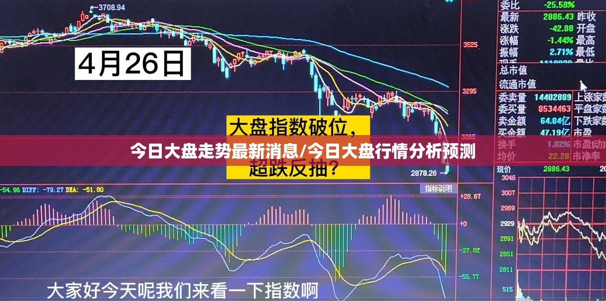 8月台风摩羯对上海有什么影响台风摩羯影响哪些城市