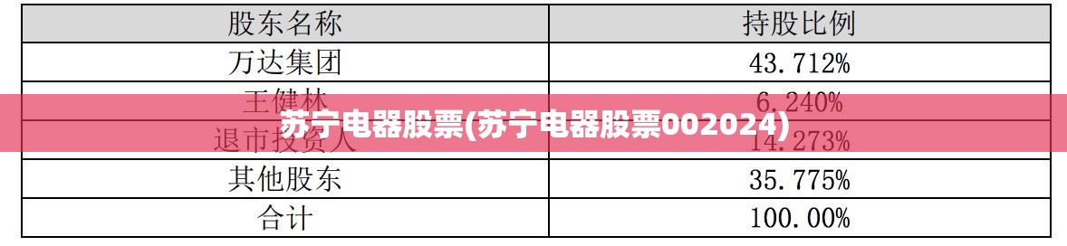 苏宁电器股票(苏宁电器股票002024)