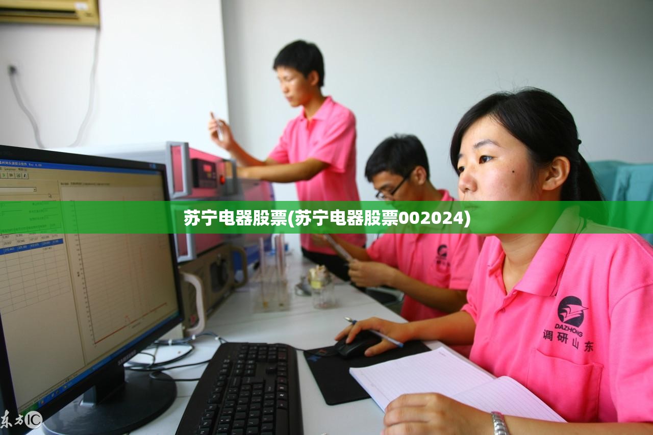 苏宁电器股票(苏宁电器股票002024)