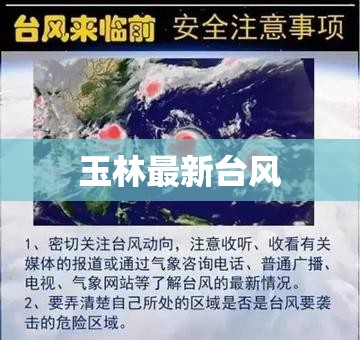 买入和申购如何区别-