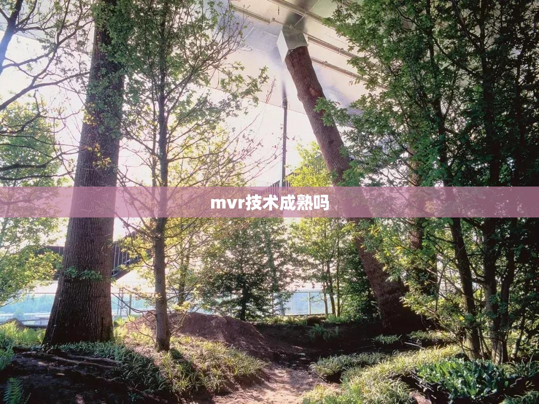 mvr技术成熟吗 mvr技术成熟吗