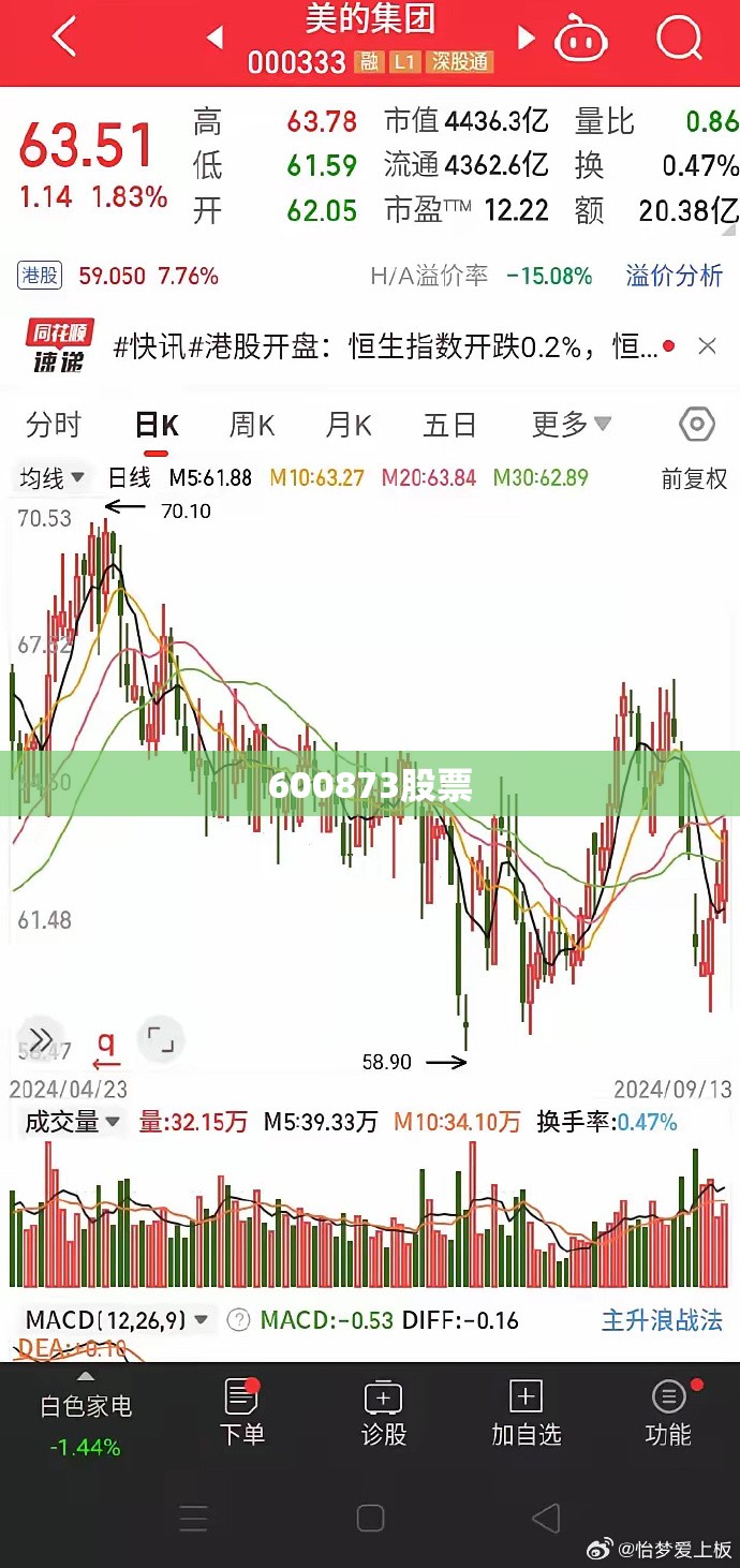 600873股票/600785股票