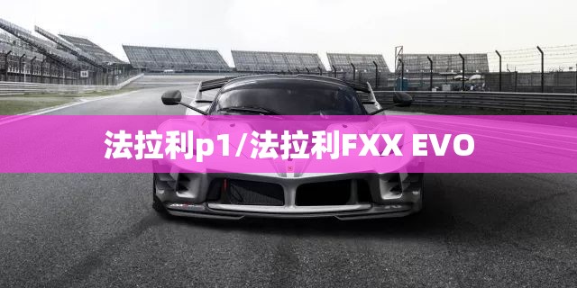 法拉利p1/法拉利FXX EVO